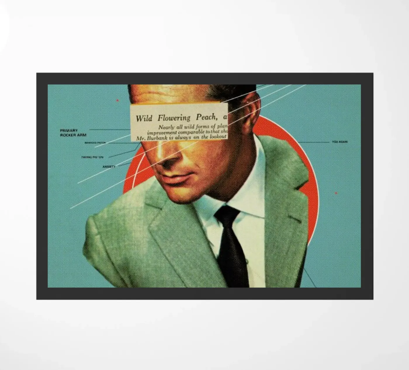 Do zerbino da Frank Moth