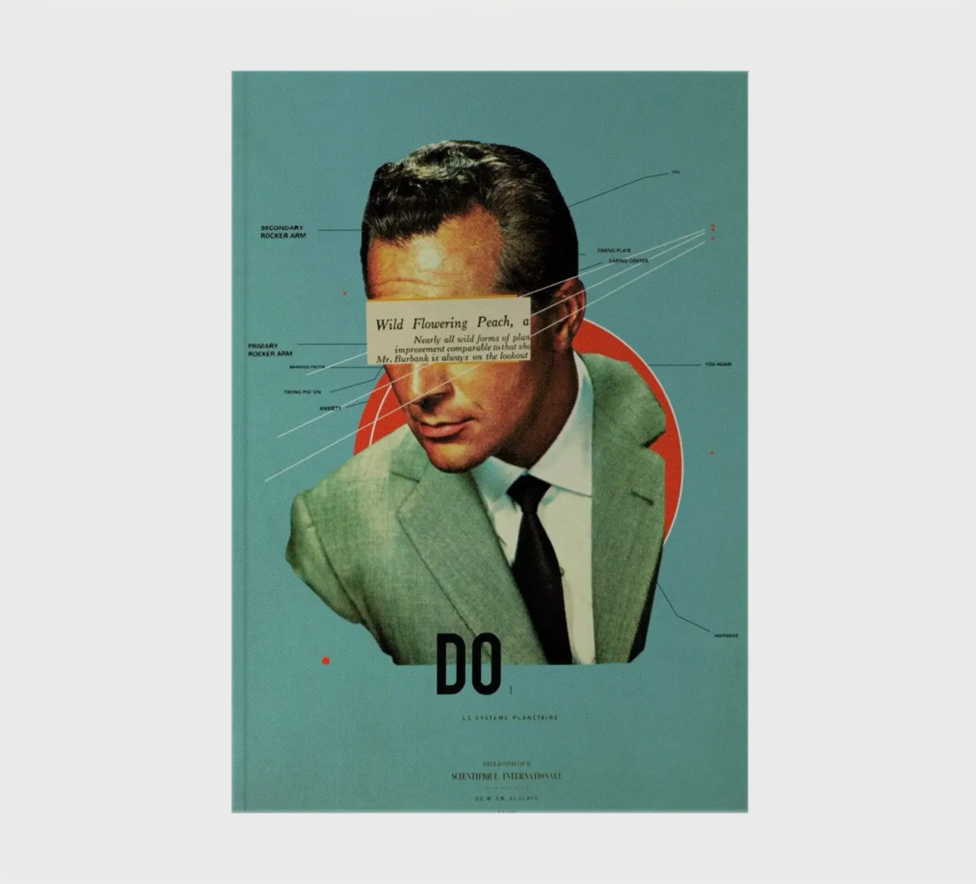 Do carnet de Frank Moth