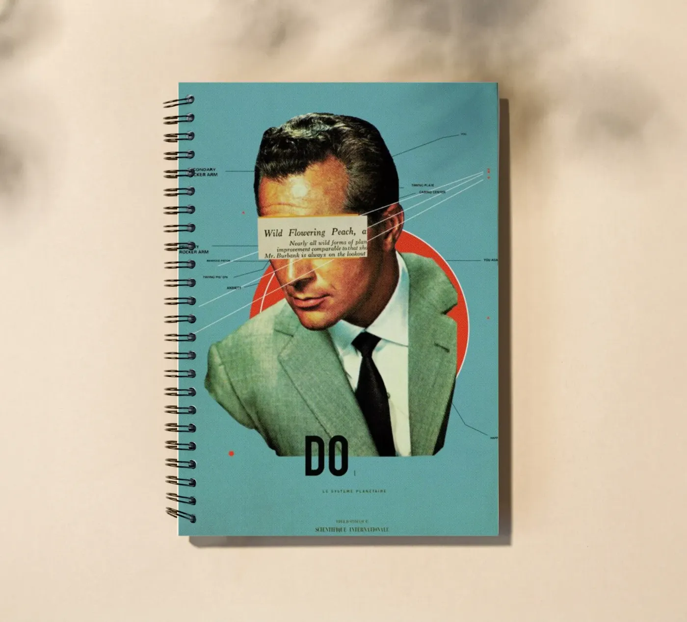 Do Ringbuch von Frank Moth