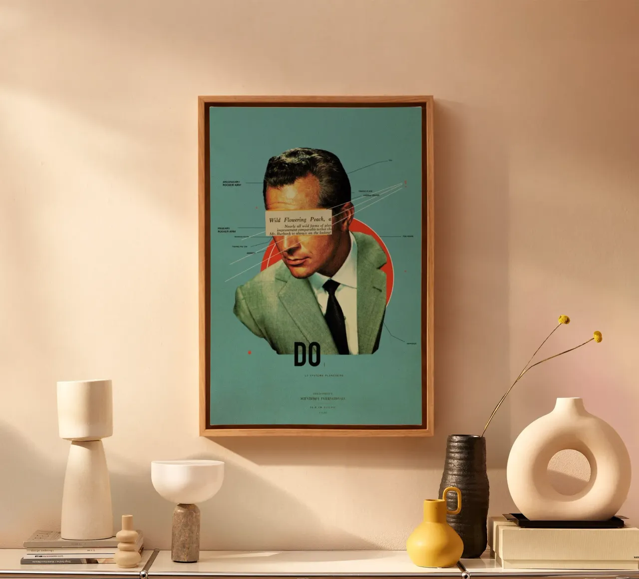 Do tela da Frank Moth