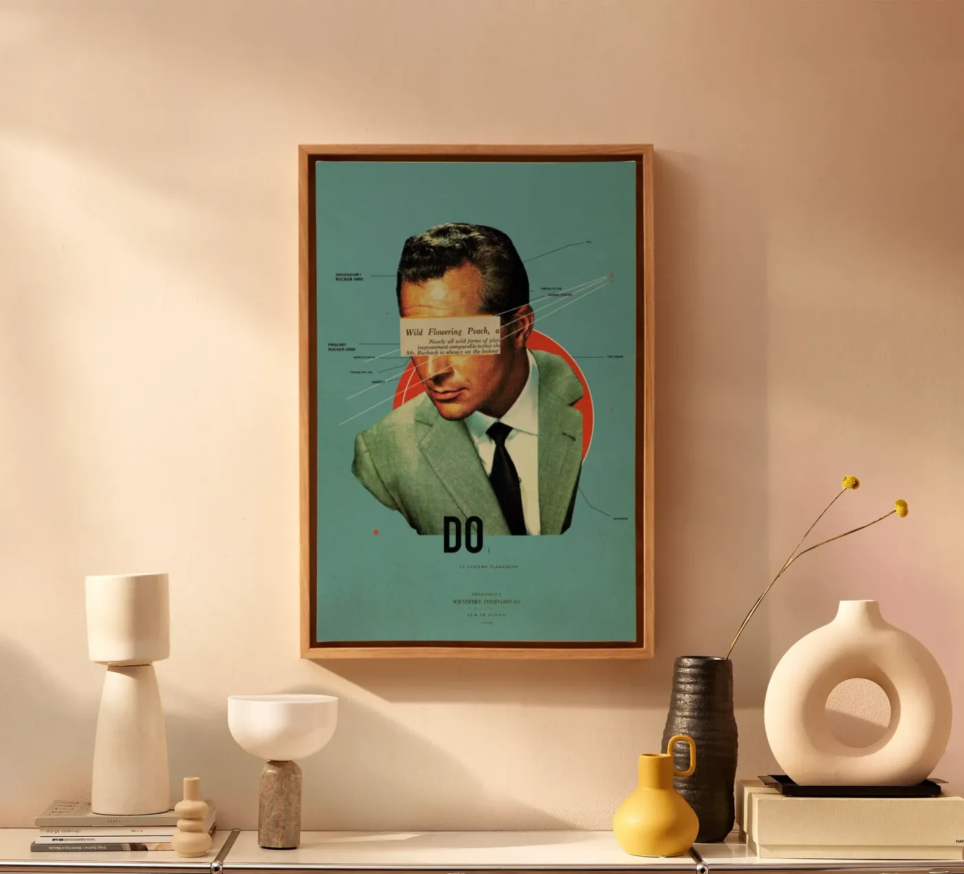 Do tela da Frank Moth