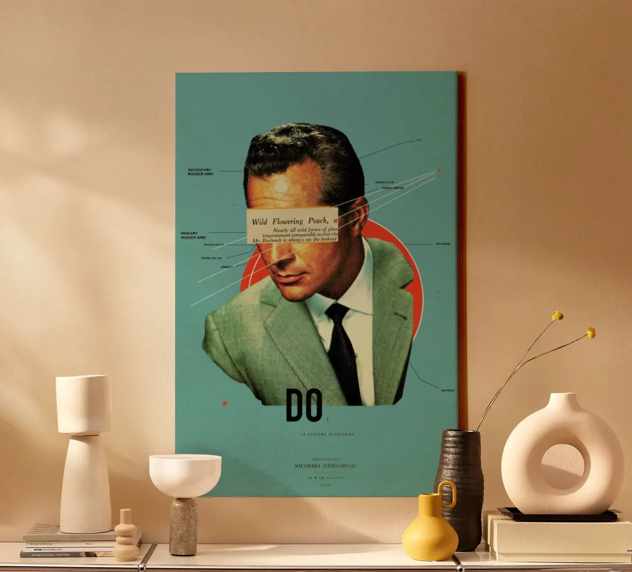 Do tela da Frank Moth