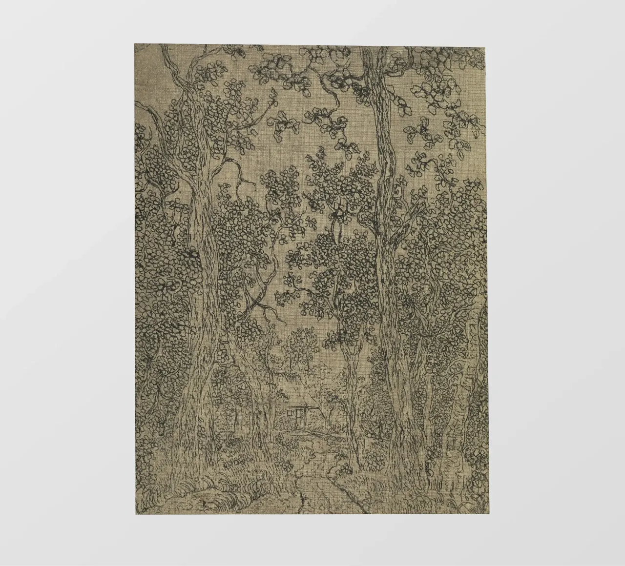 Sage Green Textile Sketch telo in pvc da apoloprints