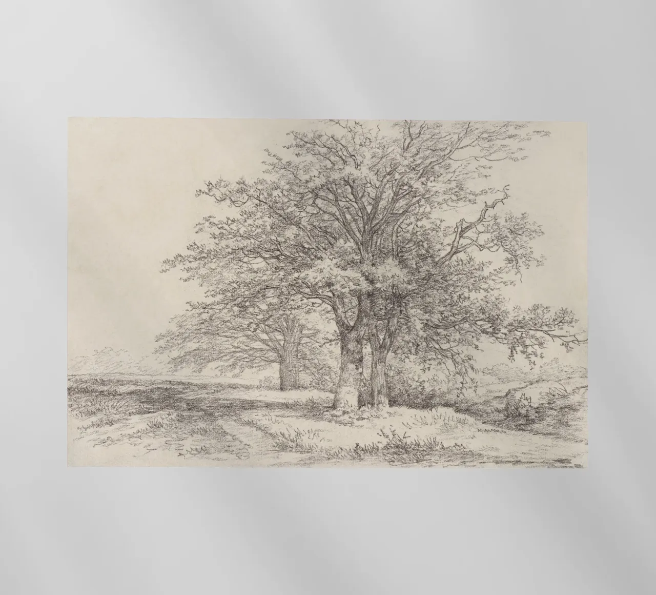 Tree Landscape Sketch pellicola backlit da apoloprints
