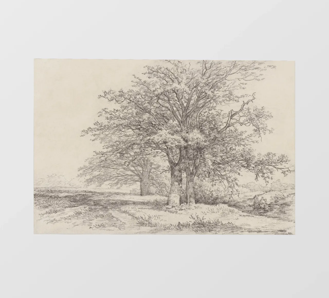 Tree Landscape Sketch telo in pvc da apoloprints