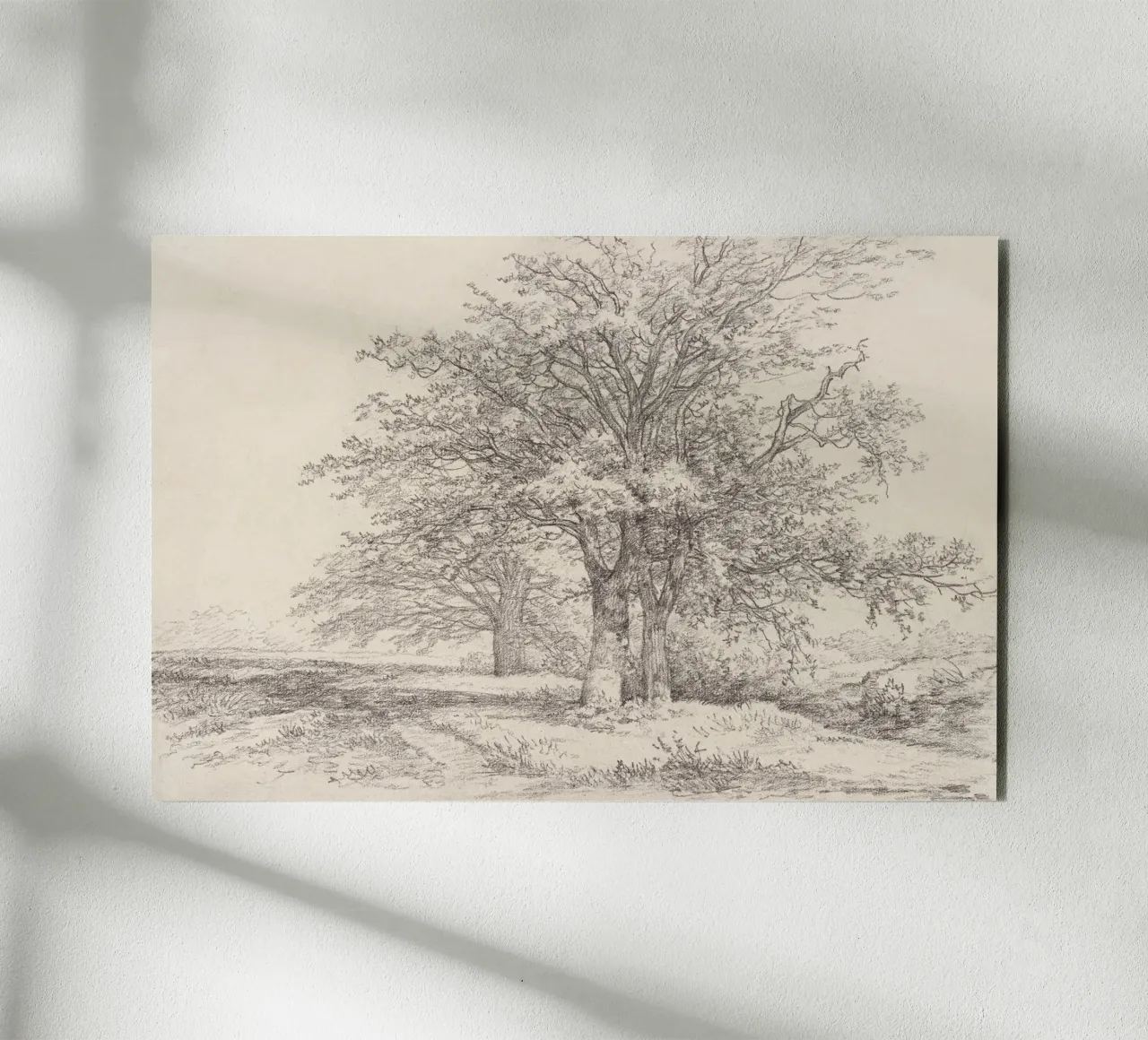 Tree Landscape Sketch alluminio dibond da apoloprints