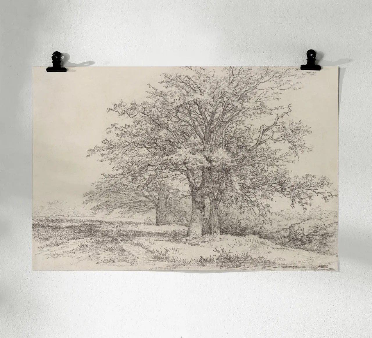 Tree Landscape Sketch carta hahnemühle da apoloprints