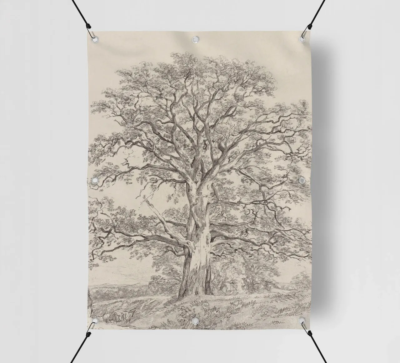 Great Oak Tree Sketch telo in pvc da apoloprints