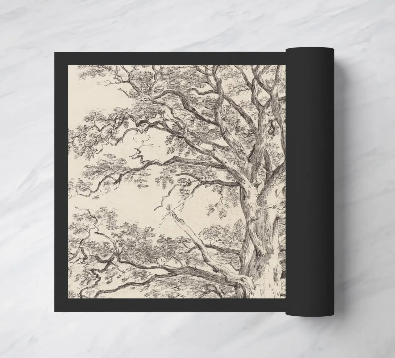 Great Oak Tree Sketch zerbino da apoloprints