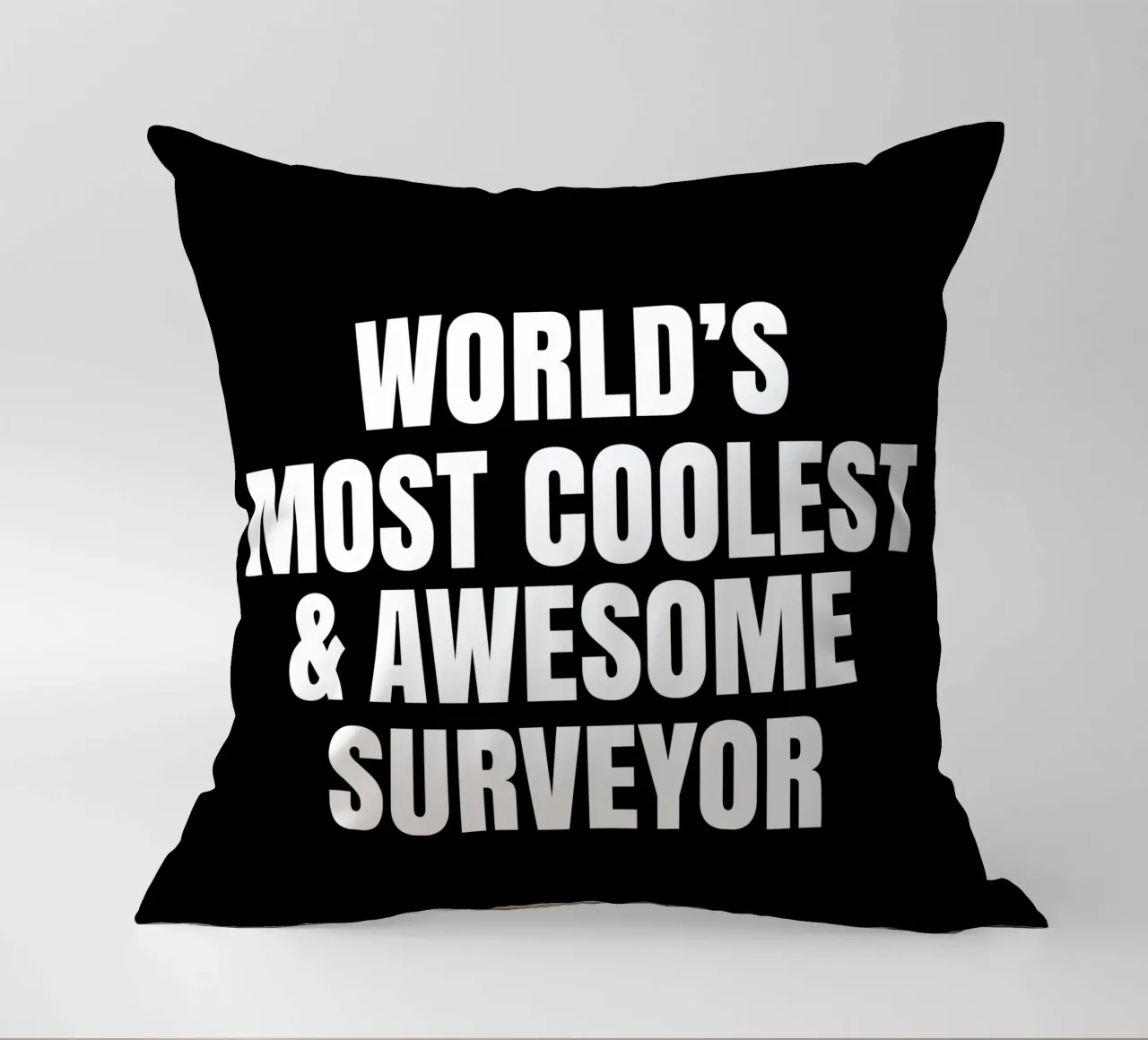 World's most coolest and awesome surveyor cuscino da happieeagle