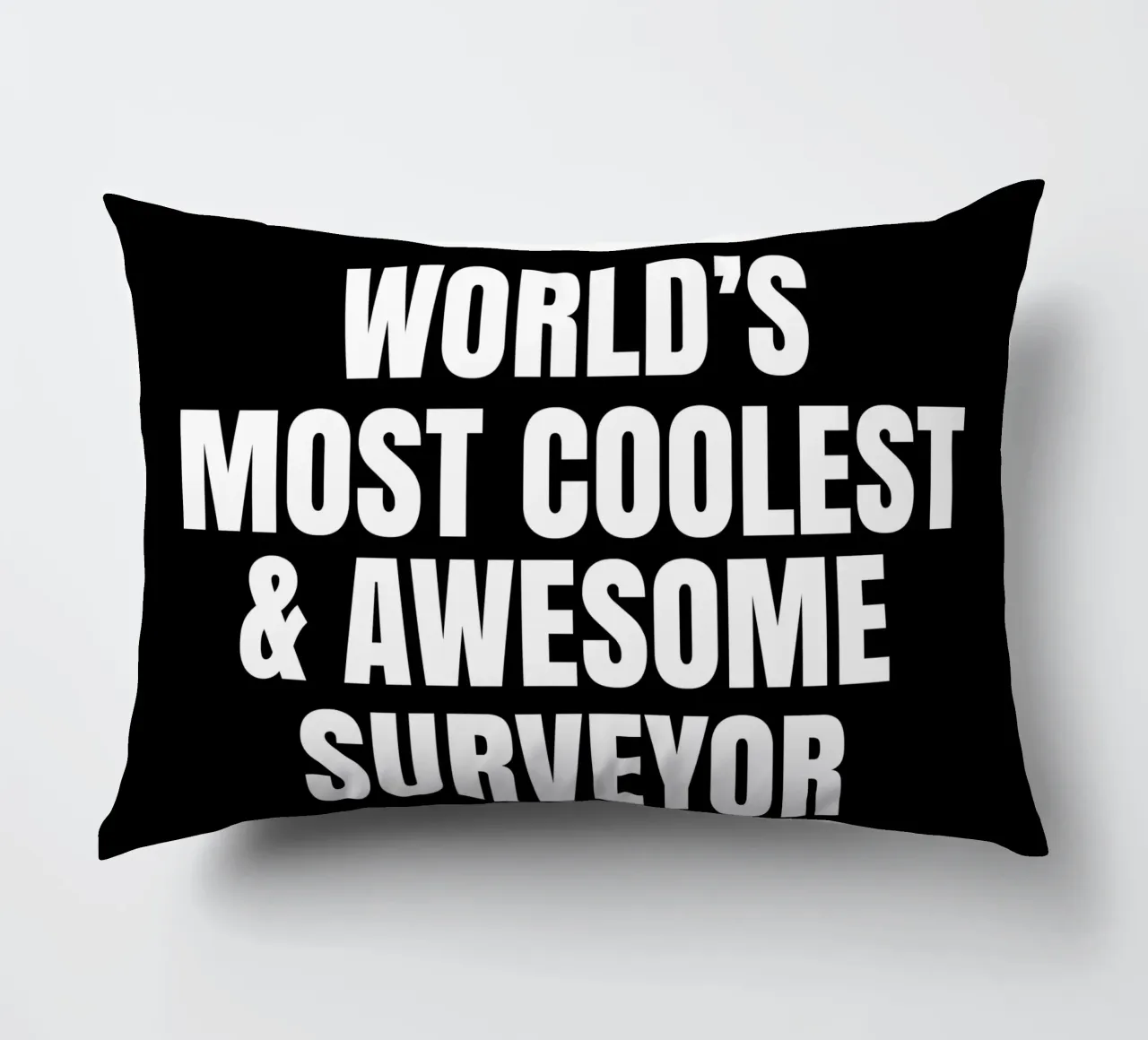 World's most coolest and awesome surveyor cuscino da happieeagle