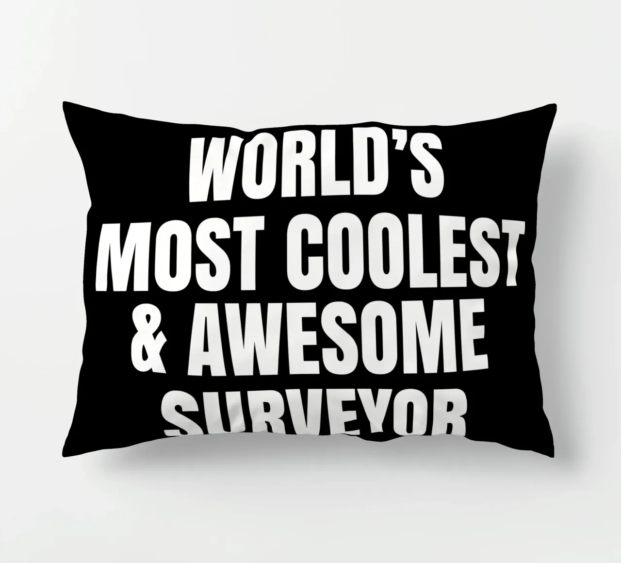 World's most coolest and awesome surveyor cuscino da happieeagle