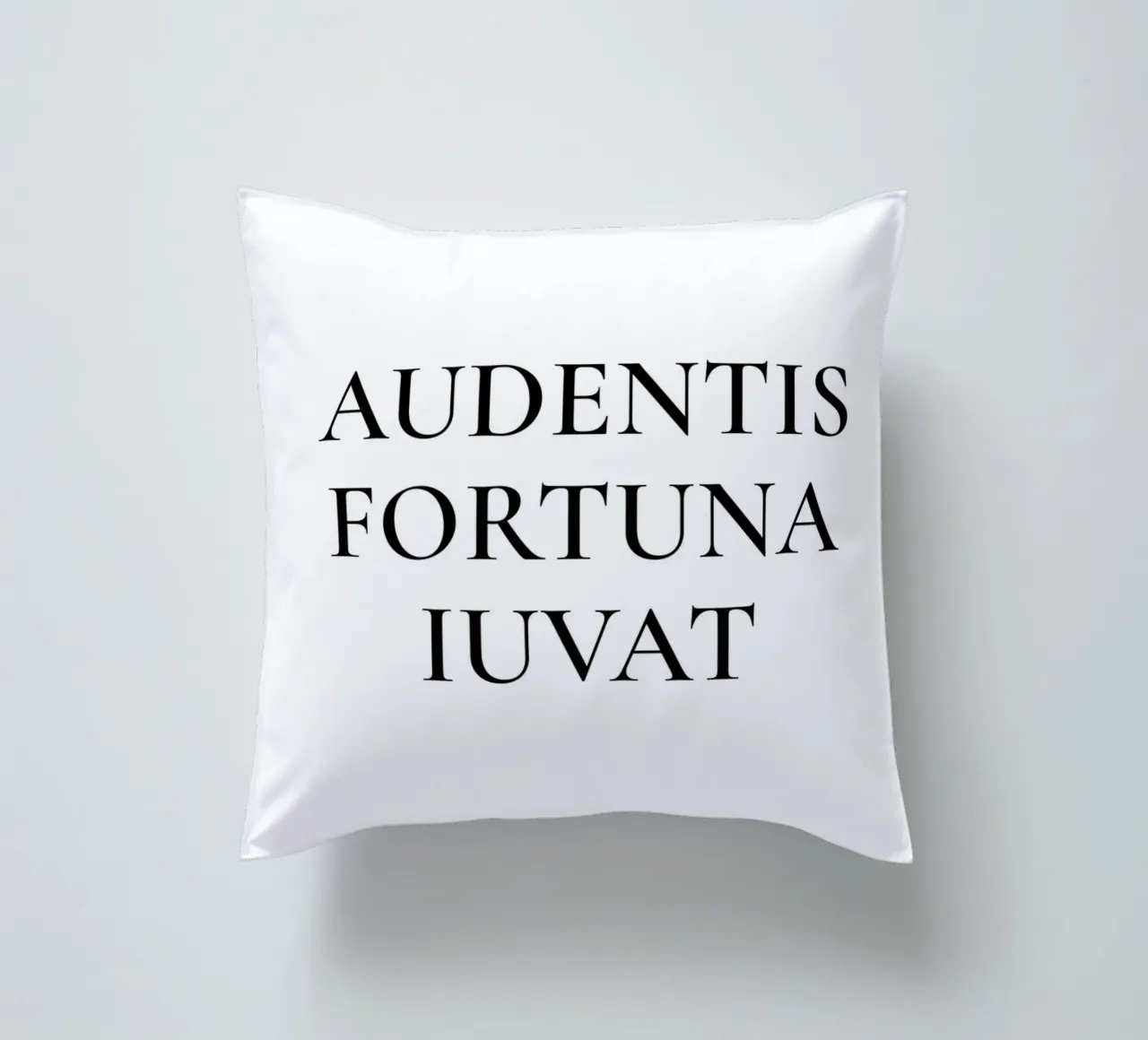 Audentis Fortuna Iuvat - La fortuna favorisce gli audaci cuscino da Paigaam Studio