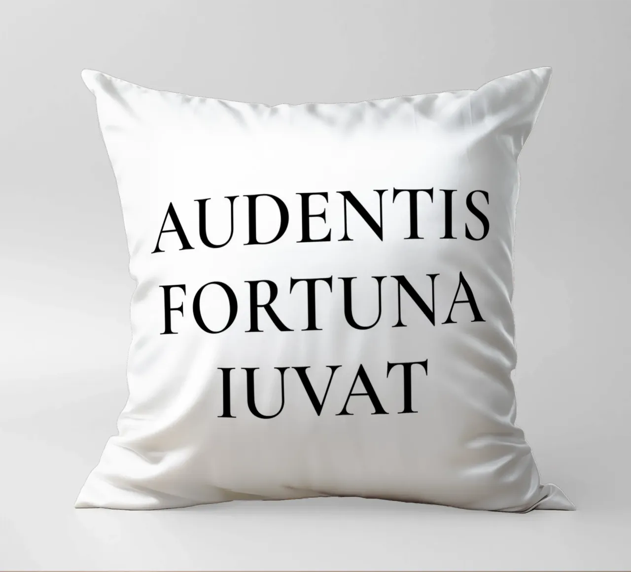 Audentis Fortuna Iuvat - La fortuna favorisce gli audaci cuscino da Paigaam Studio