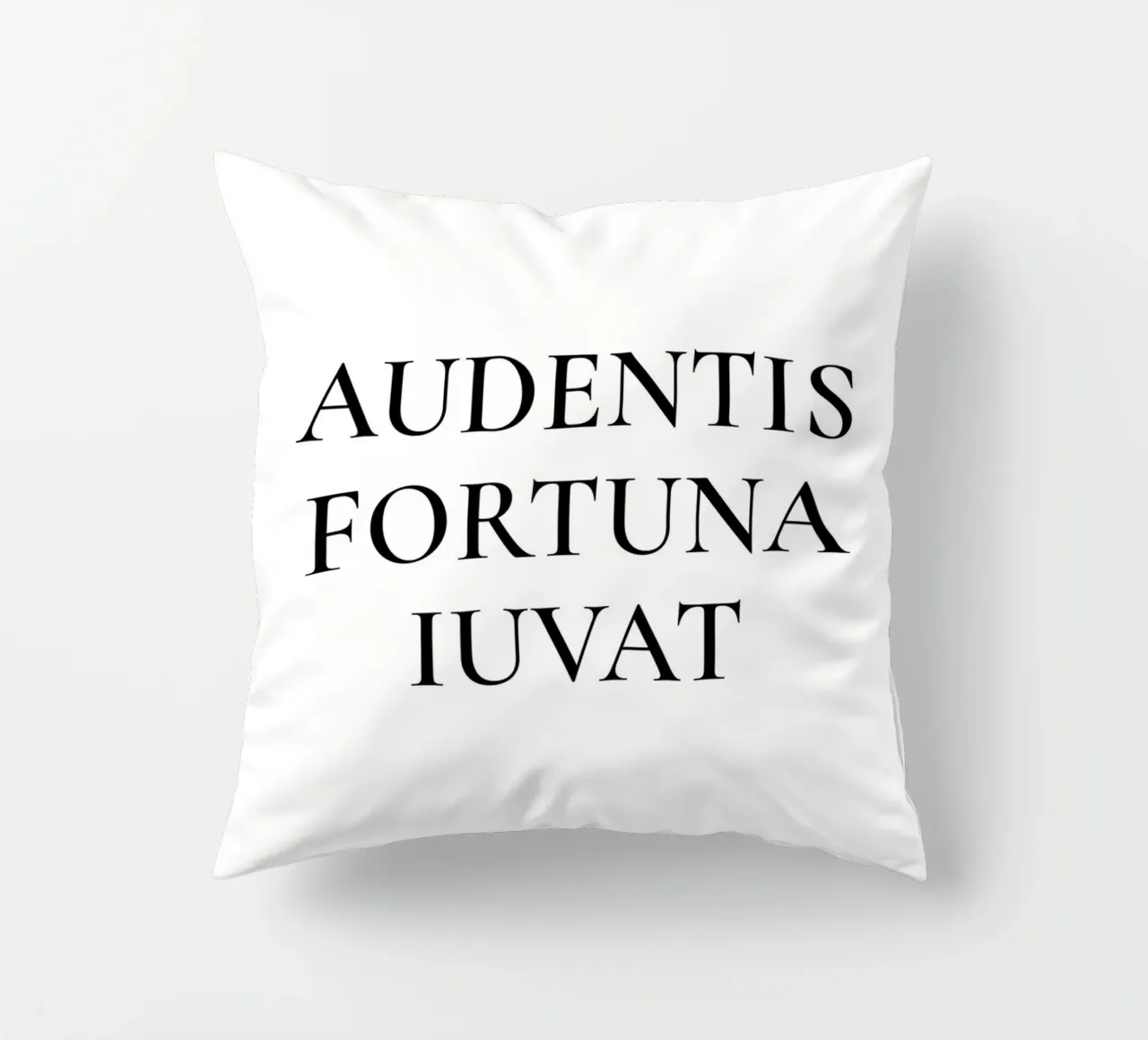 Audentis Fortuna Iuvat - La fortuna favorisce gli audaci cuscino da Paigaam Studio