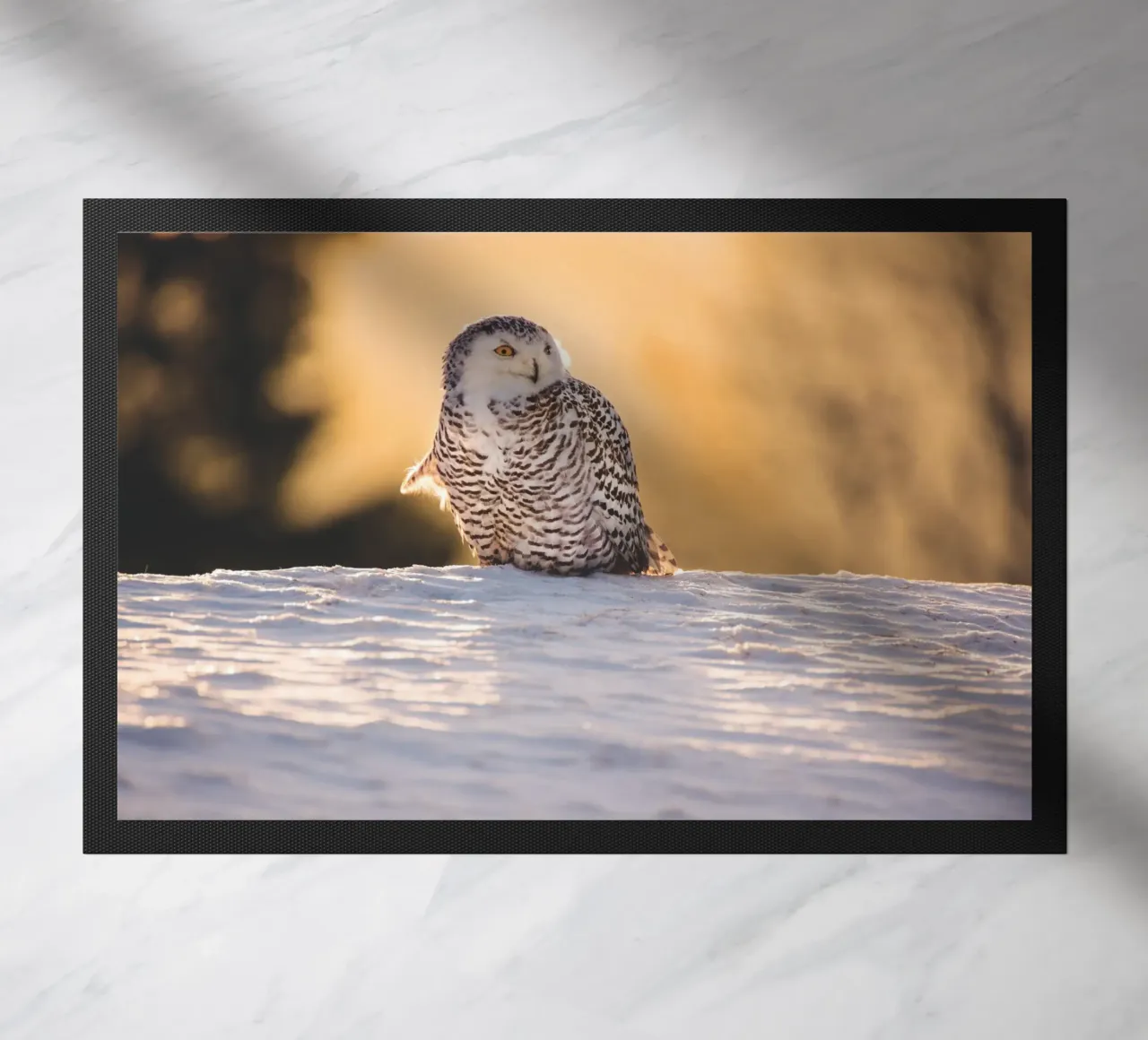 Gufo delle nevi al tramonto zerbino da Dave Hare Photography