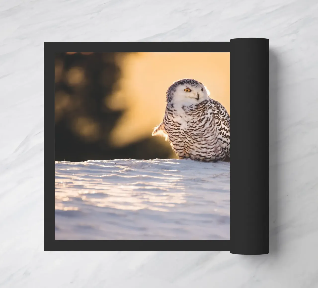 Gufo delle nevi al tramonto zerbino da Dave Hare Photography