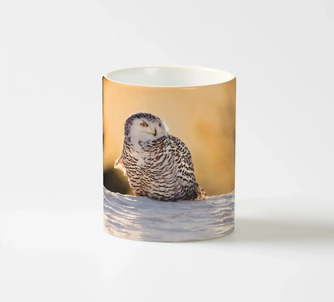 Gufo delle nevi al tramonto tazza in ceramica da Dave Hare Photography