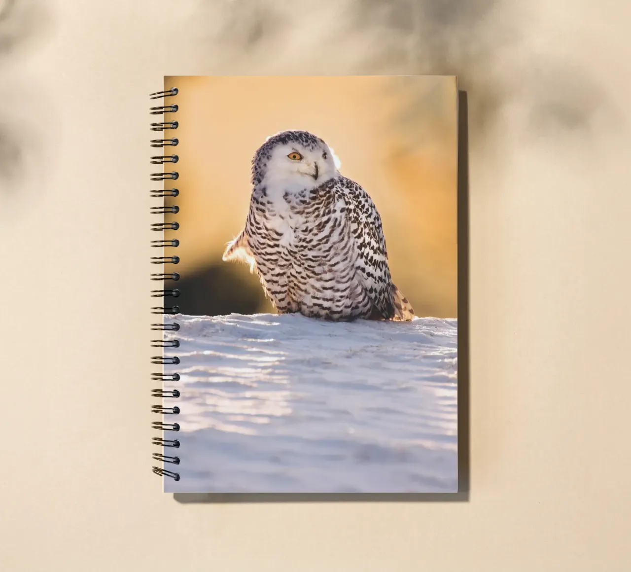 Snowy Owl at Sunset spiral notebook by Dave Hare Photography
