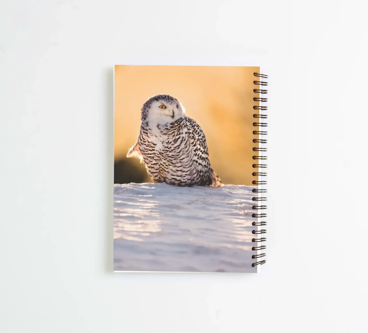 Snowy Owl at Sunset spiral notebook by Dave Hare Photography