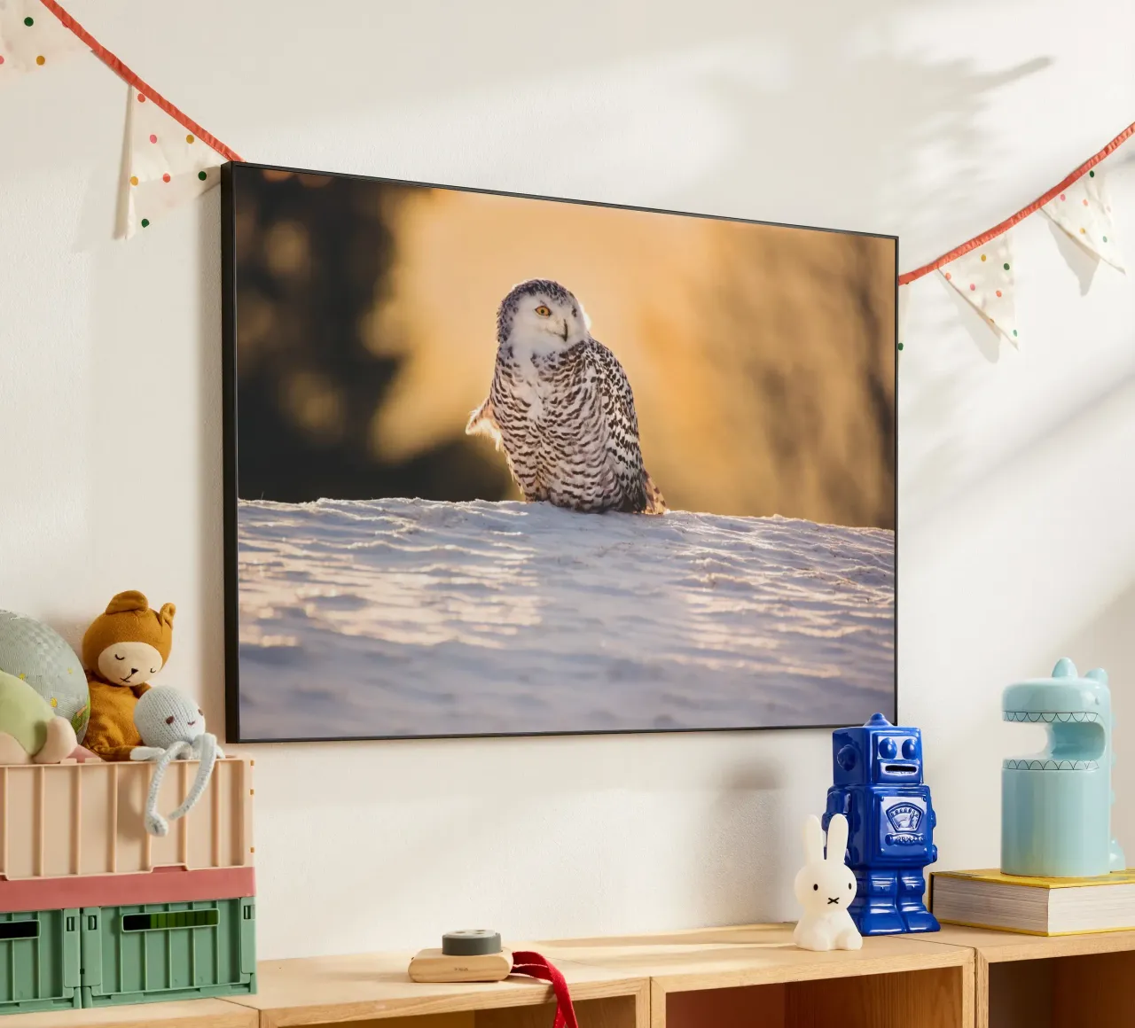 Snowy Owl at Sunset alu-dibond by Dave Hare Photography