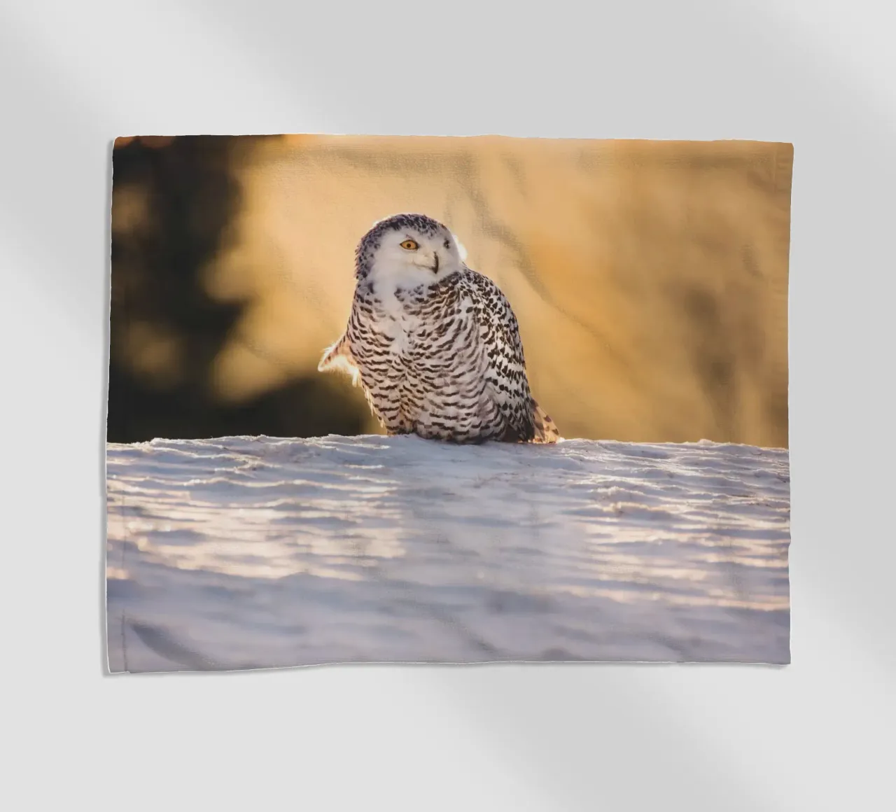 Sneeuwuil bij zonsondergang strandhanddoek van Dave Hare Photography