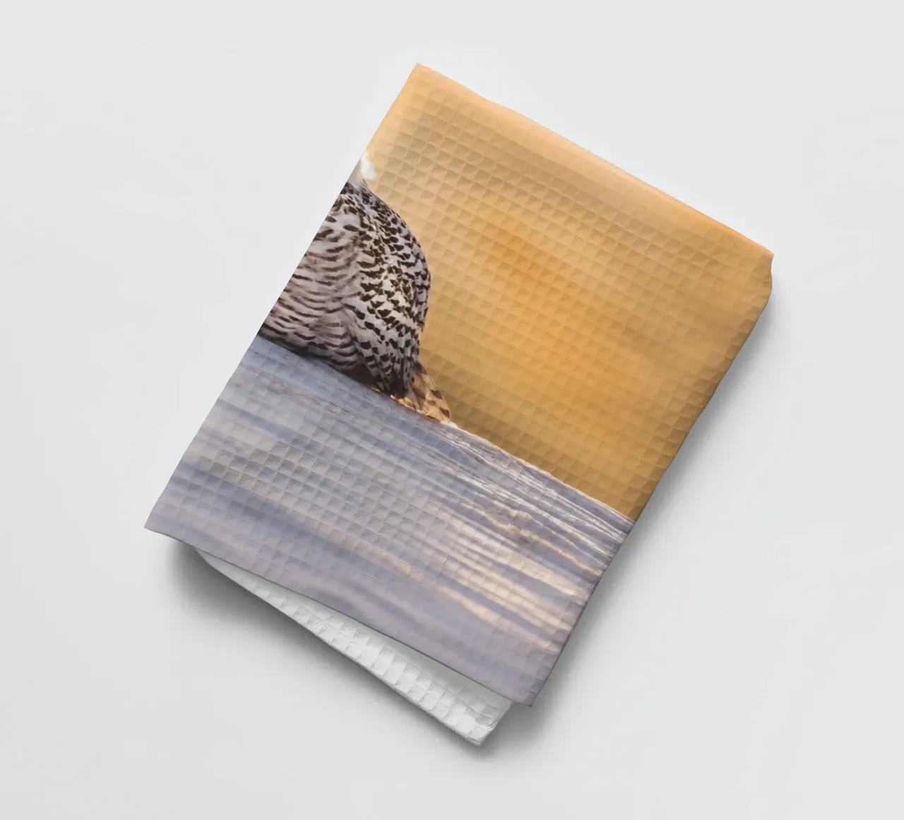 Snowy Owl at Sunset tea towel by Dave Hare Photography