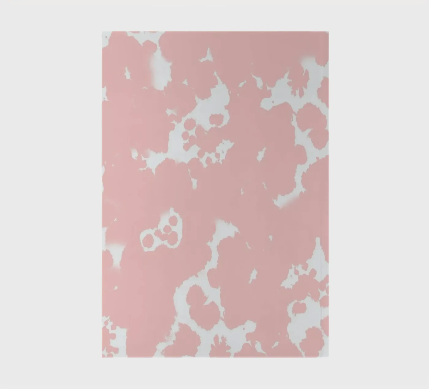 Rosequartz carnet de Charlotte Winter