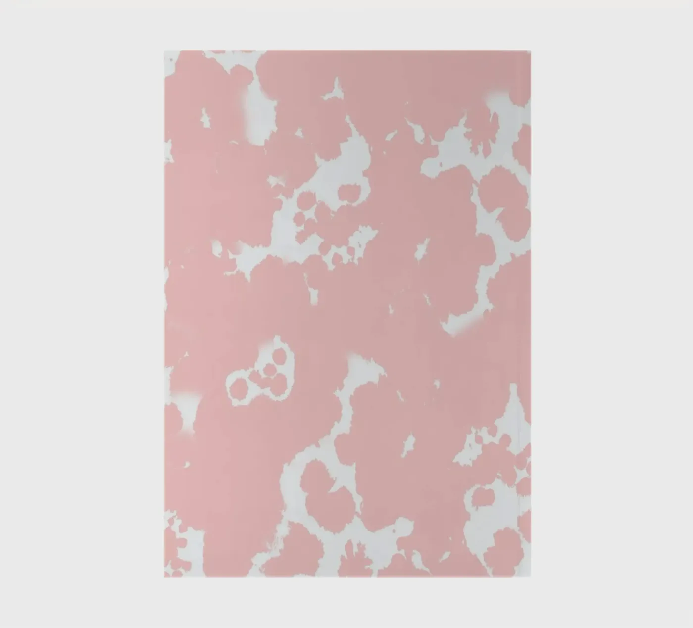Rosequartz quaderno da Charlotte Winter