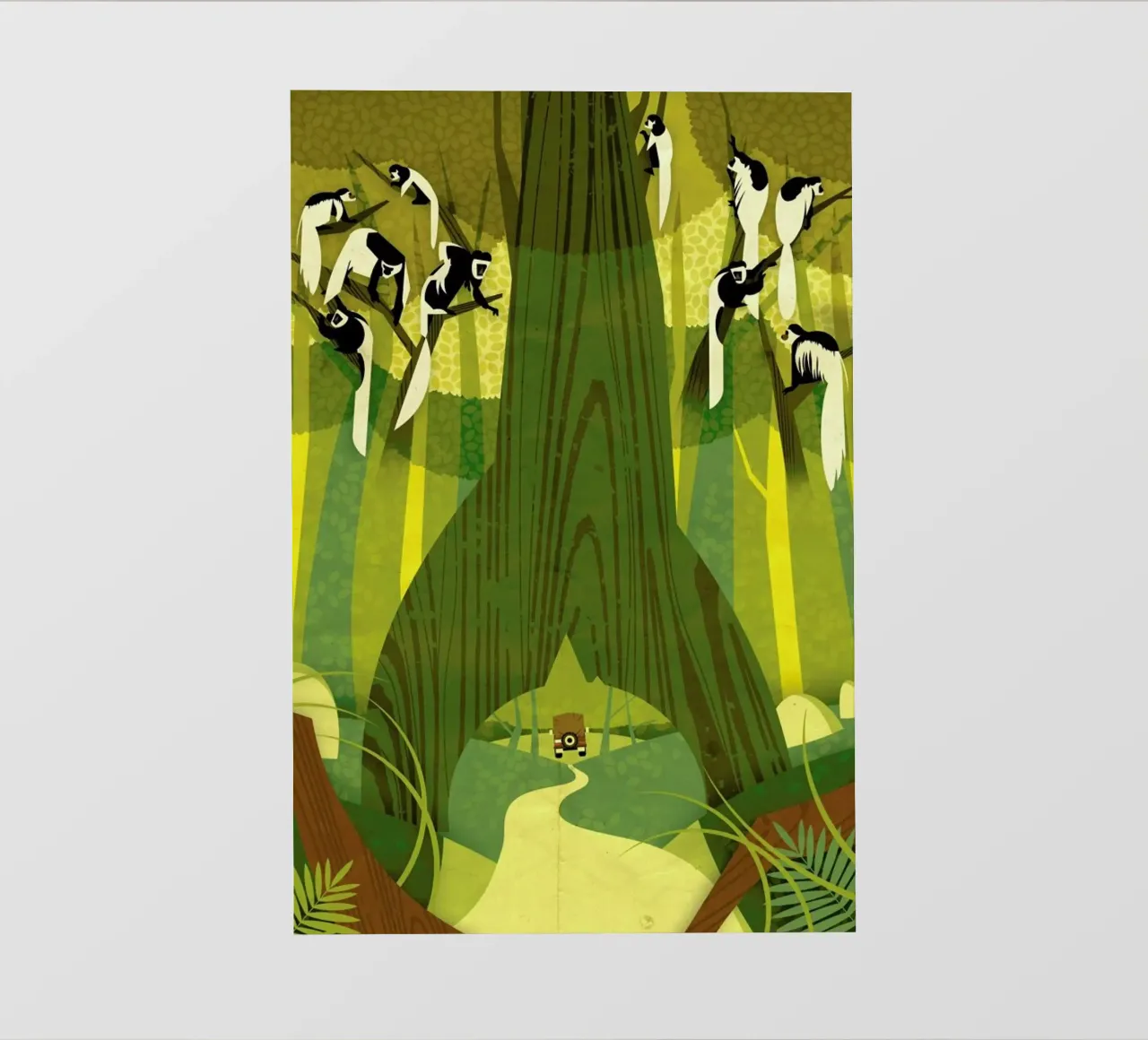 Colobus Monkey pellicola backlit da Dieter Braun