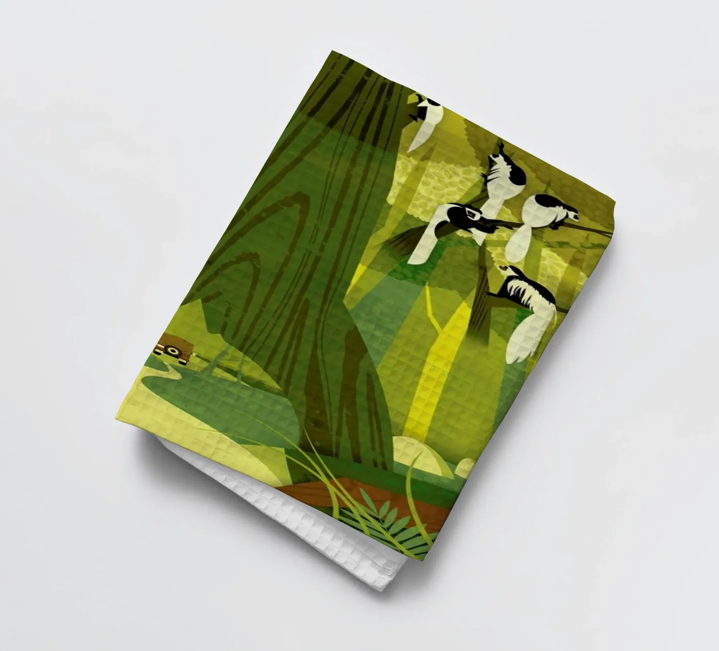 Colobus Monkey torchon de Dieter Braun