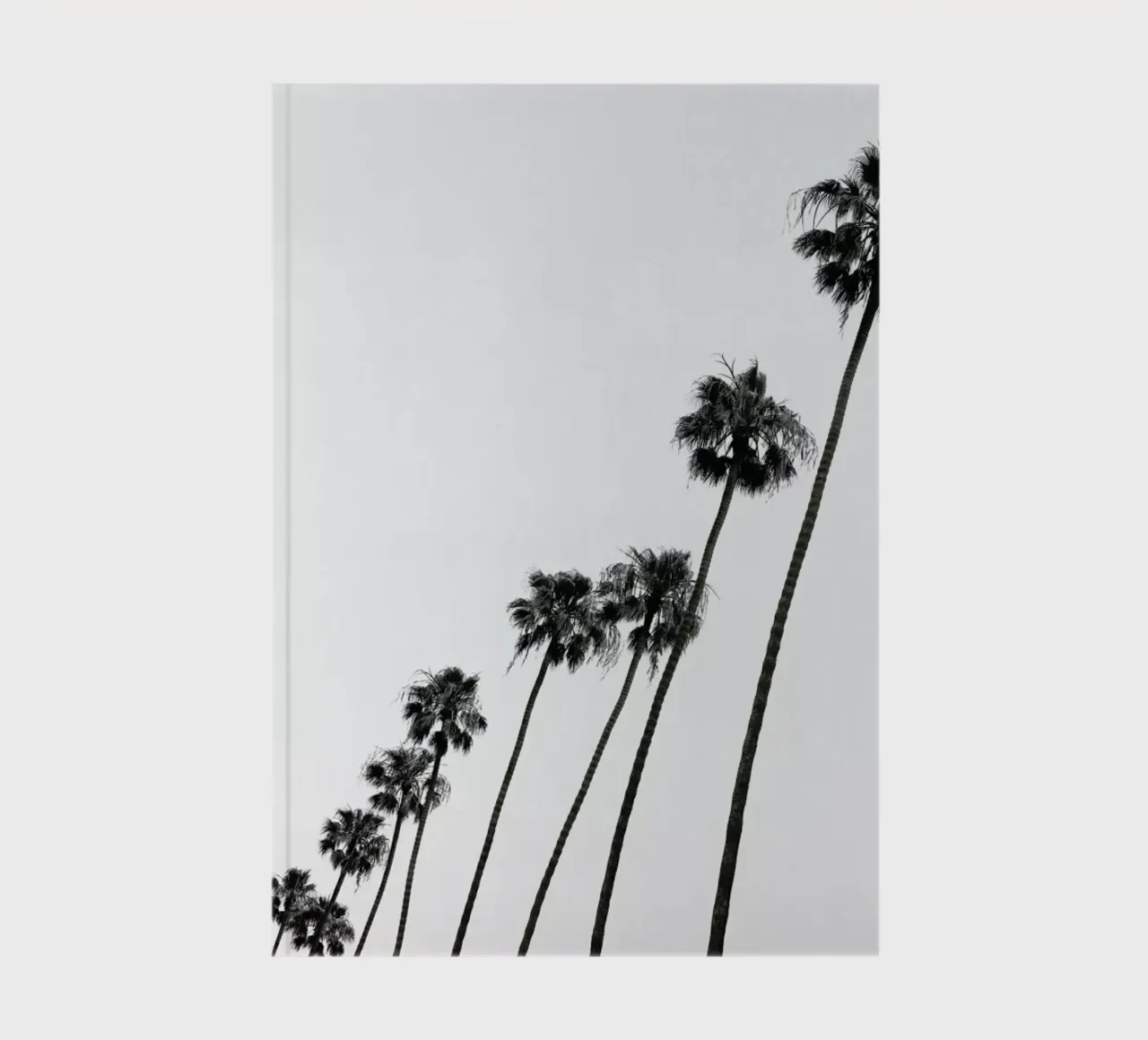 Cali Palms notebook by Shot By Clint