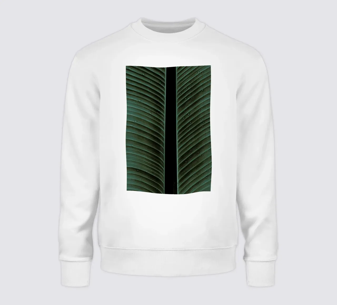 Strelitzia 02 felpa da Shot By Clint