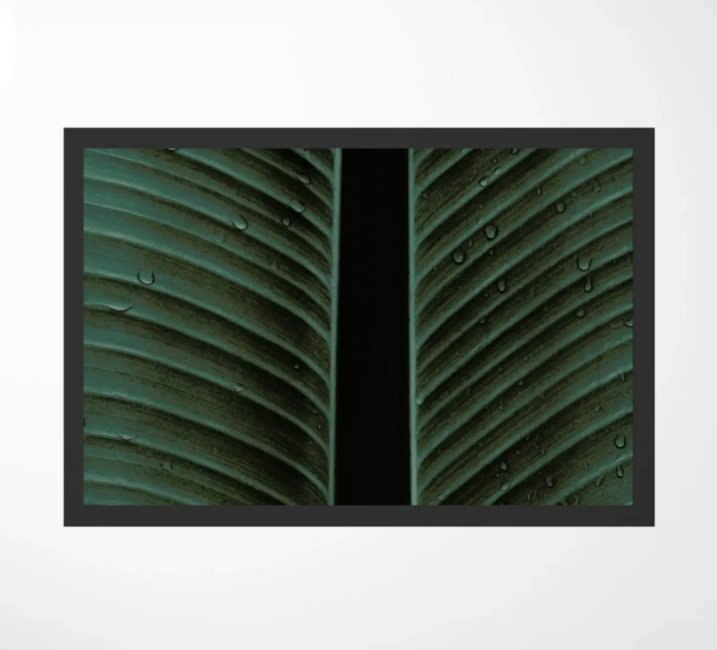 Strelitzia 02 deurmat van Shot By Clint