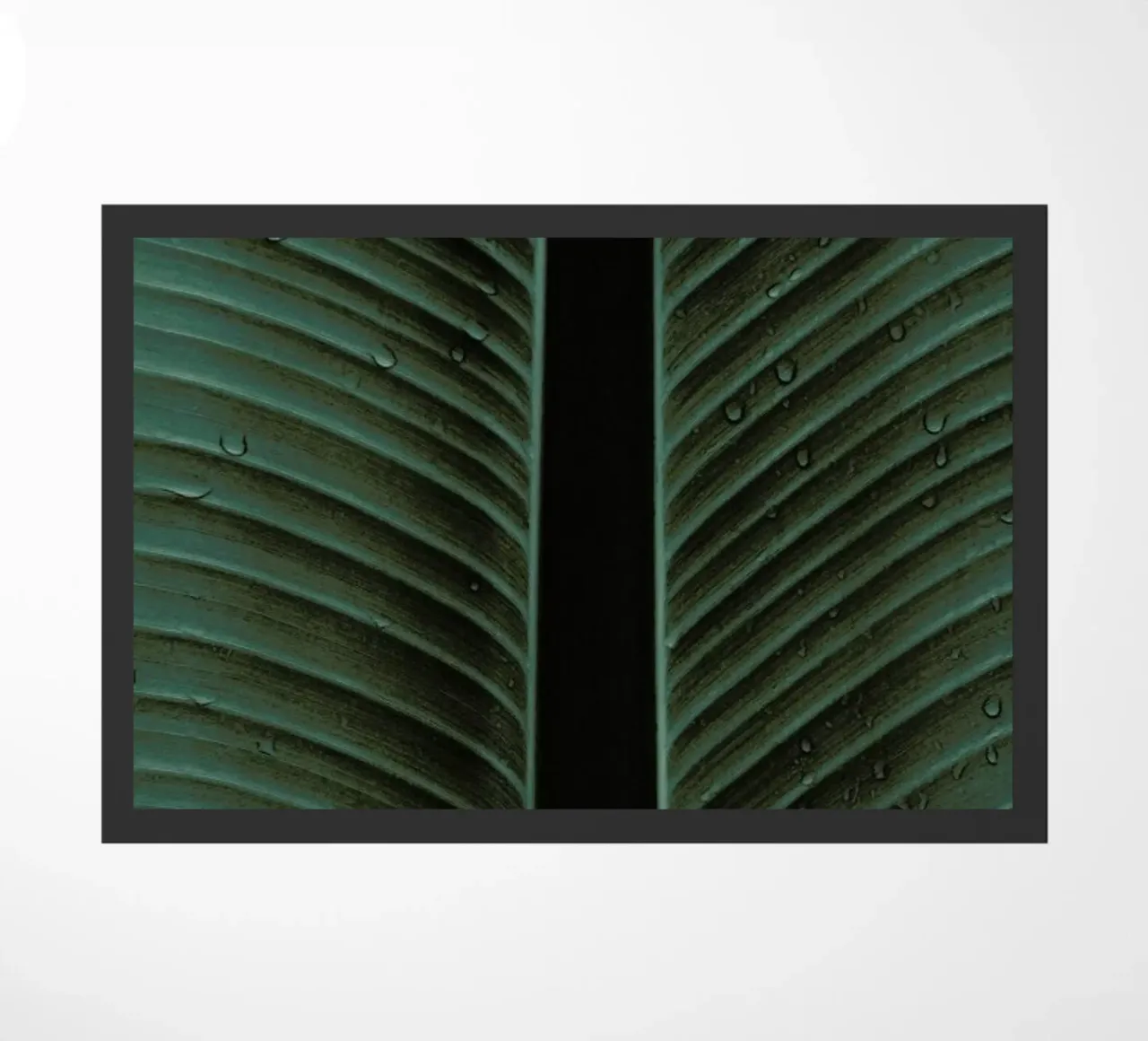 Strelitzia 02 zerbino da Shot By Clint
