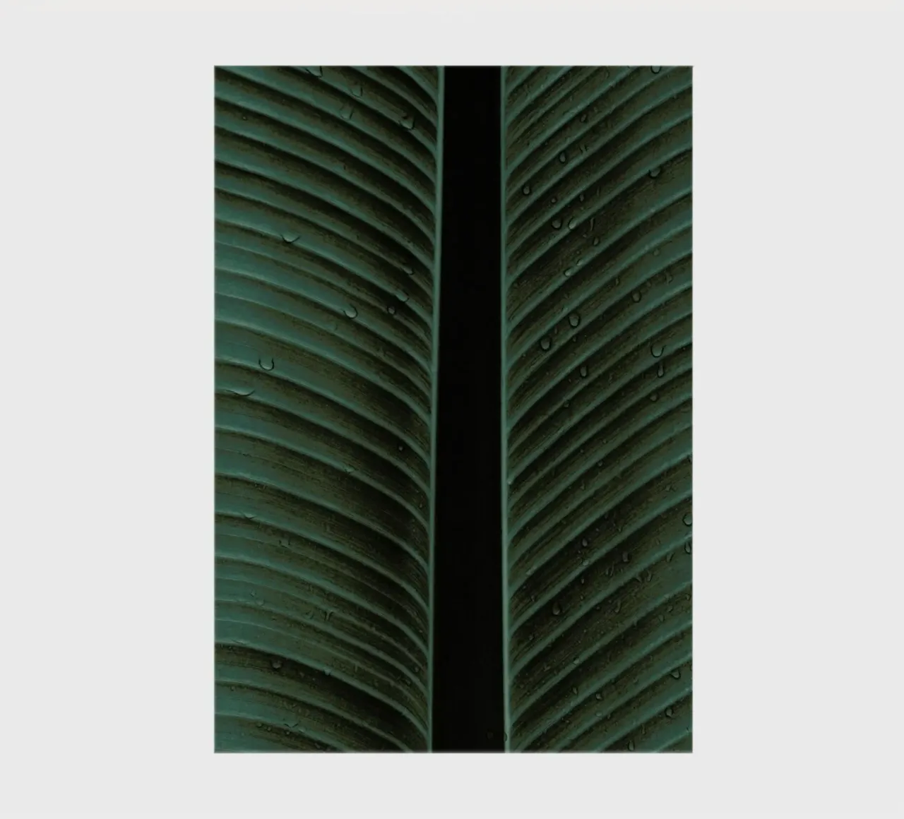 Strelitzia 02 notebook by Shot By Clint