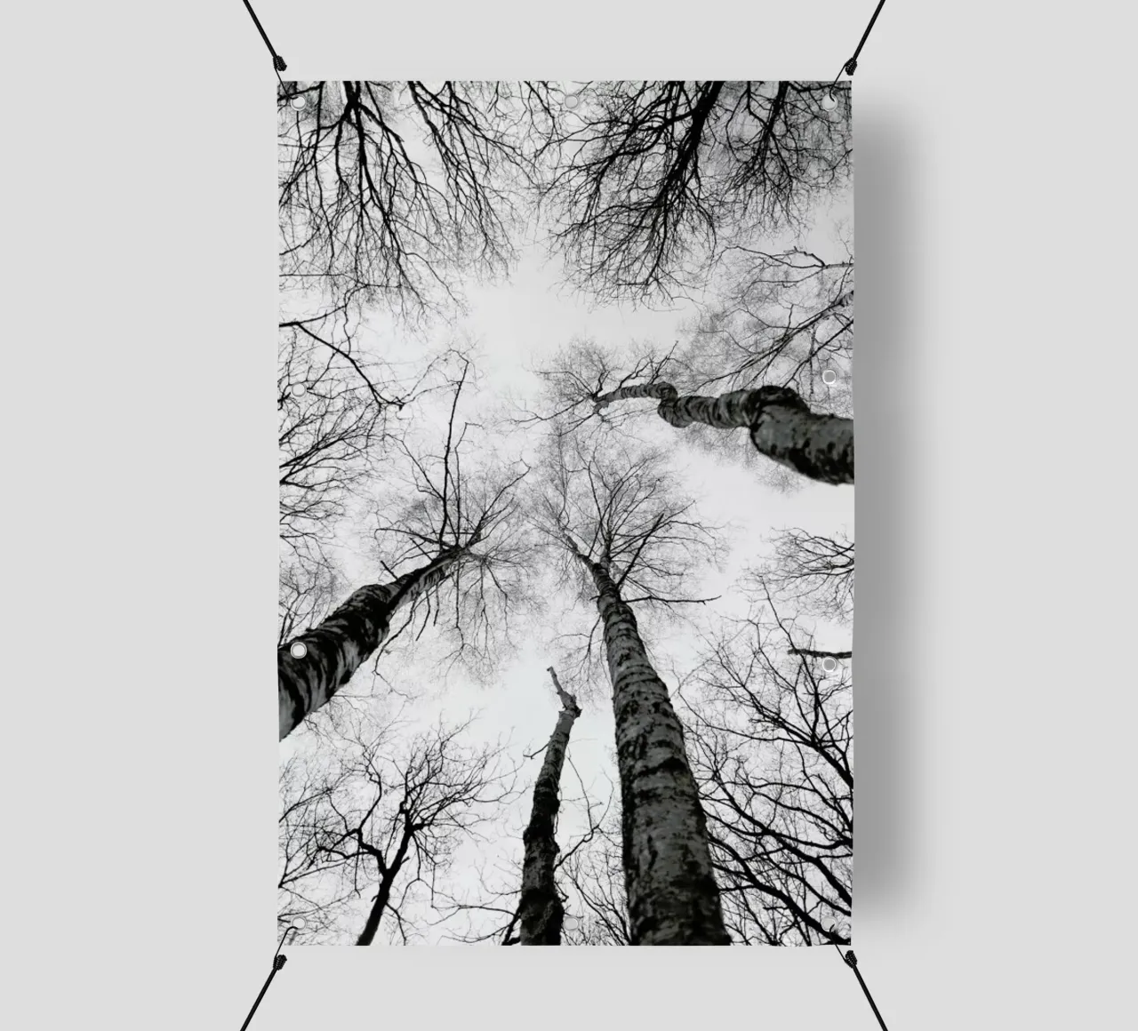 Everglades pvc cover by Shot By Clint
