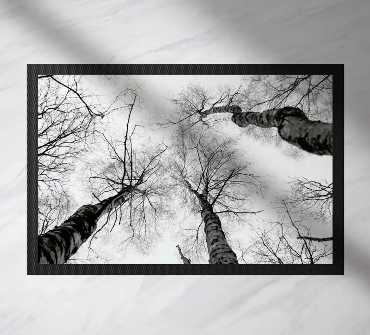 Everglades zerbino da Shot By Clint