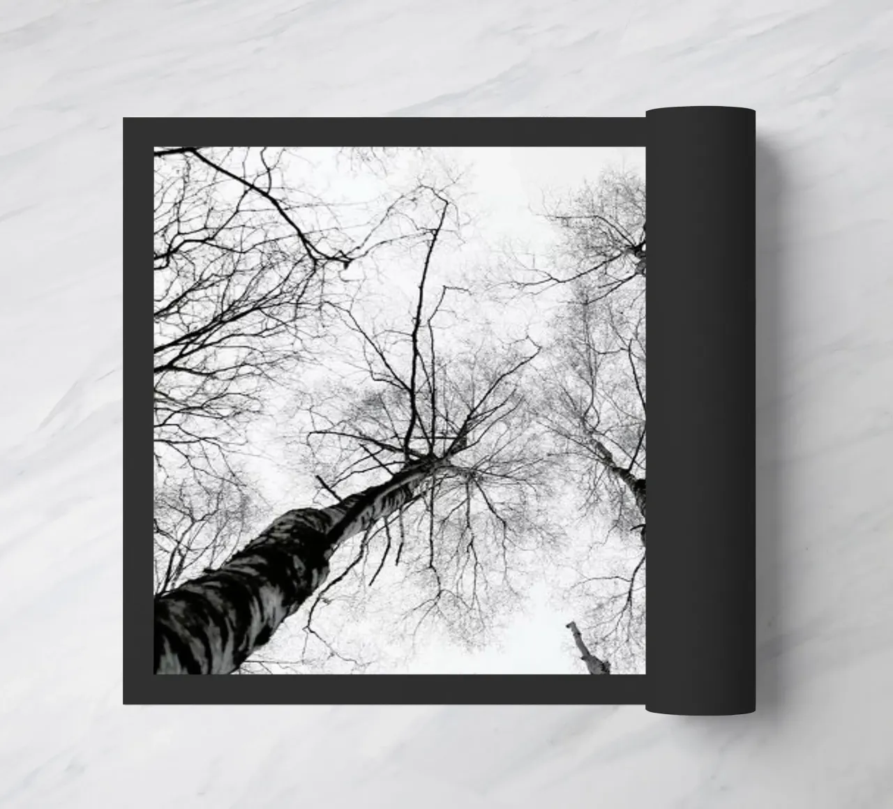 Everglades zerbino da Shot By Clint