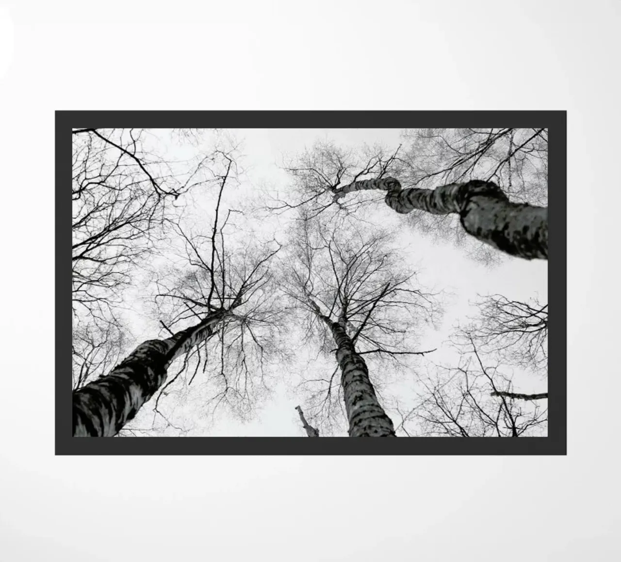 Everglades zerbino da Shot By Clint