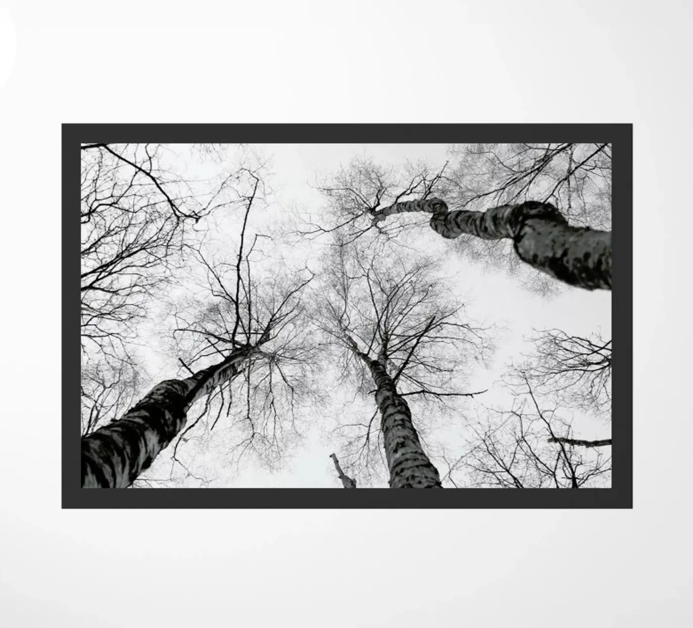 Everglades doormat by Shot By Clint