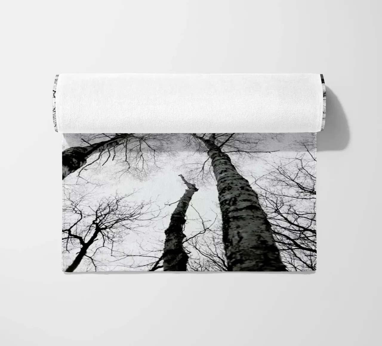 Everglades telo mare da Shot By Clint