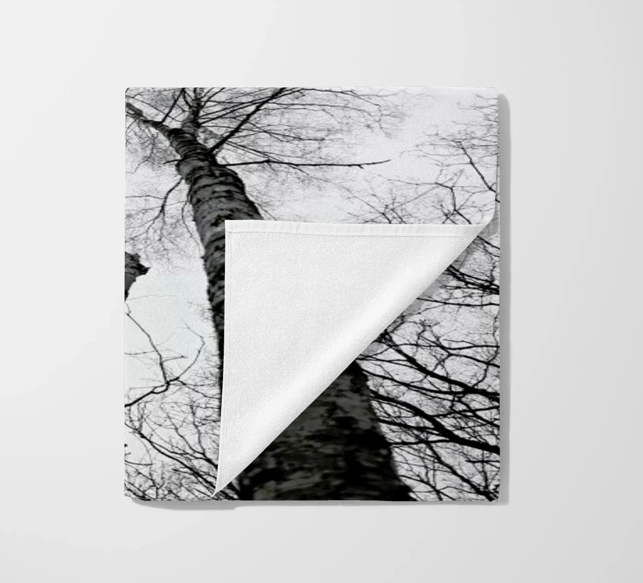 Everglades telo mare da Shot By Clint