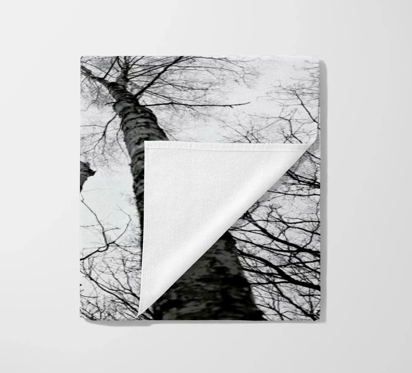 Everglades telo mare da Shot By Clint