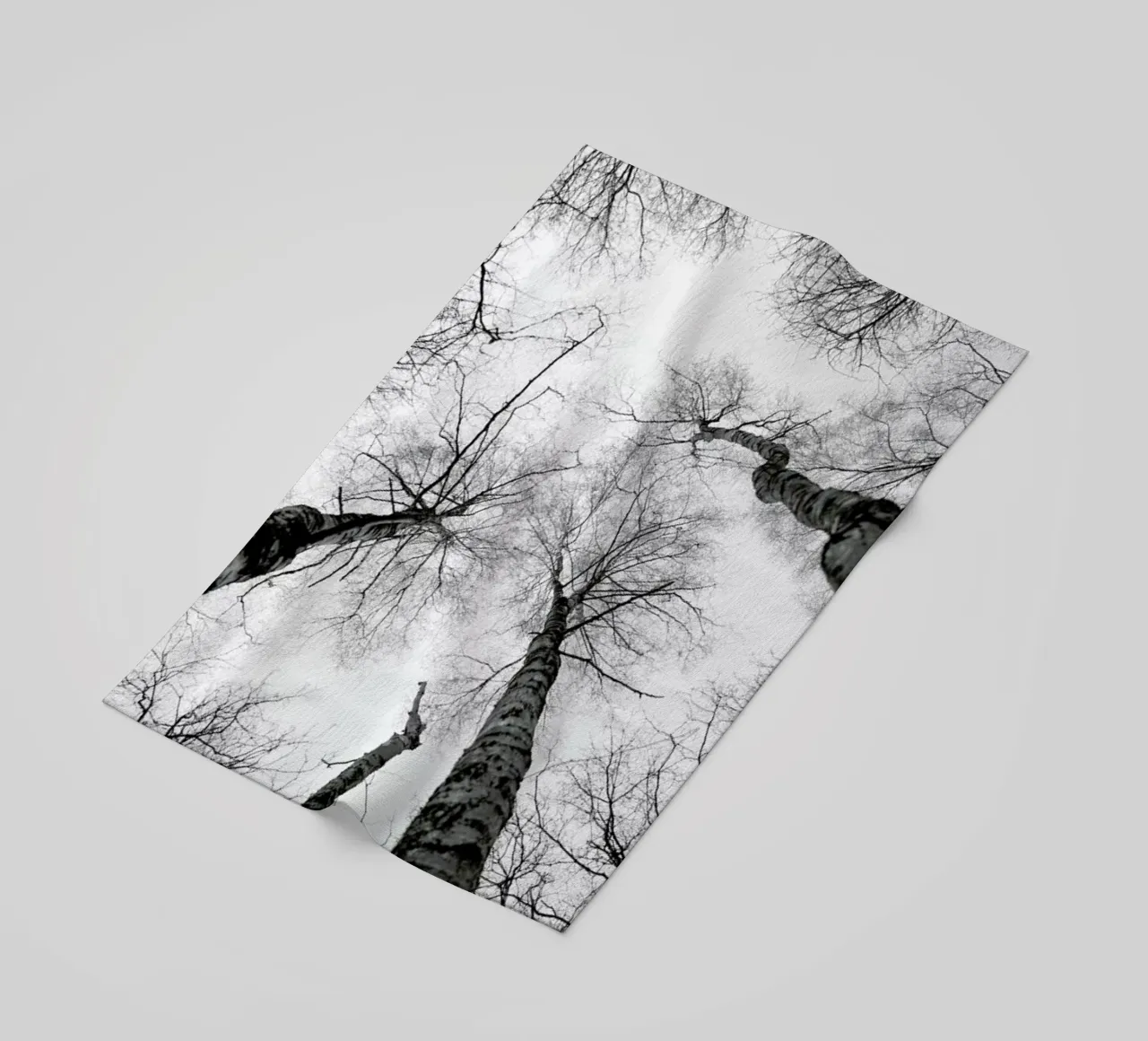 Everglades telo mare da Shot By Clint