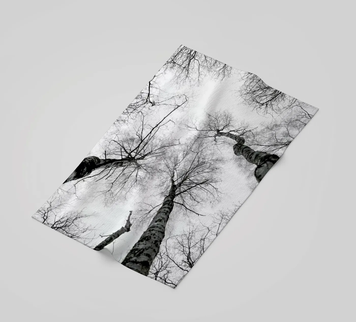 Everglades telo mare da Shot By Clint