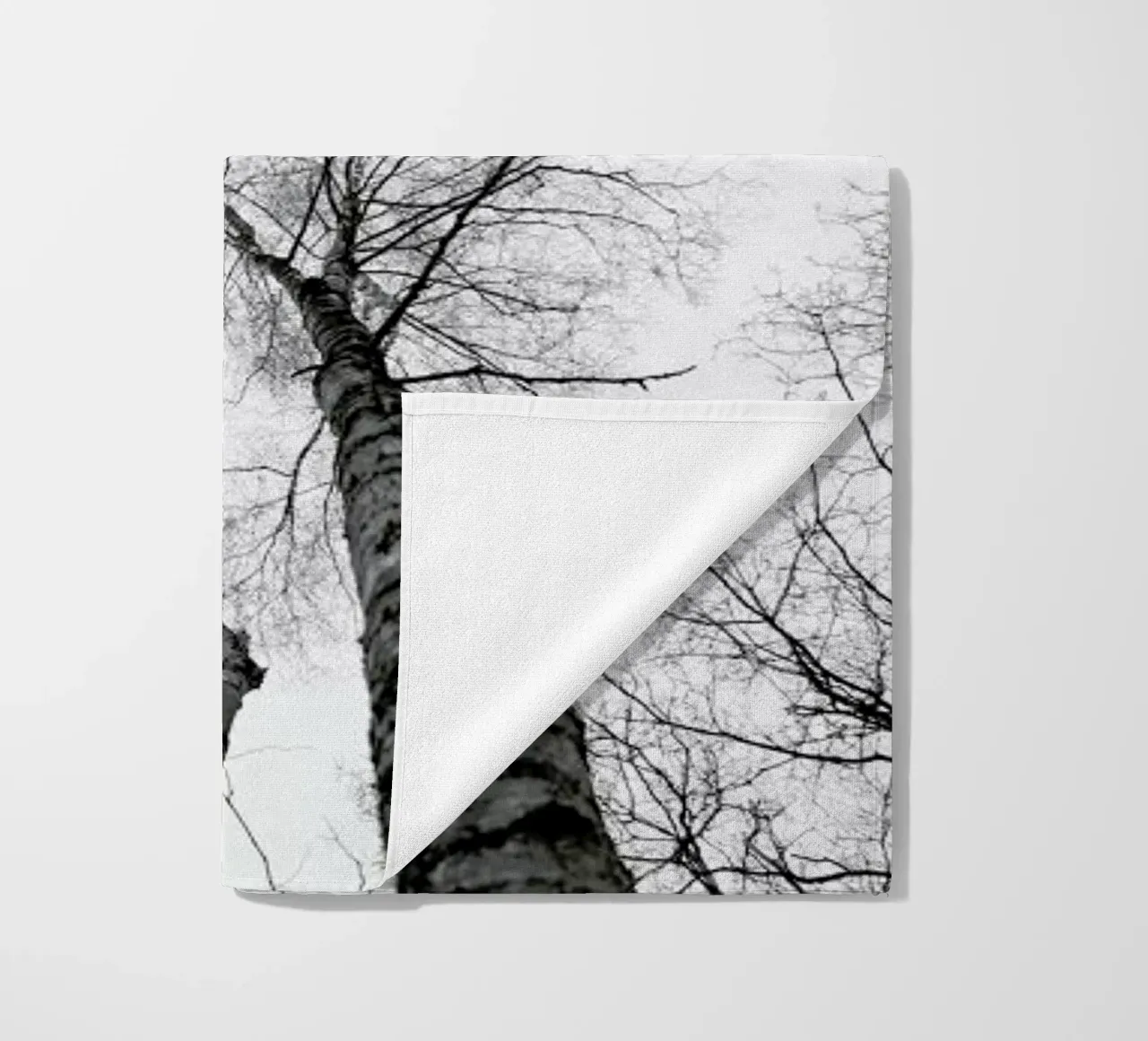 Everglades telo mare da Shot By Clint