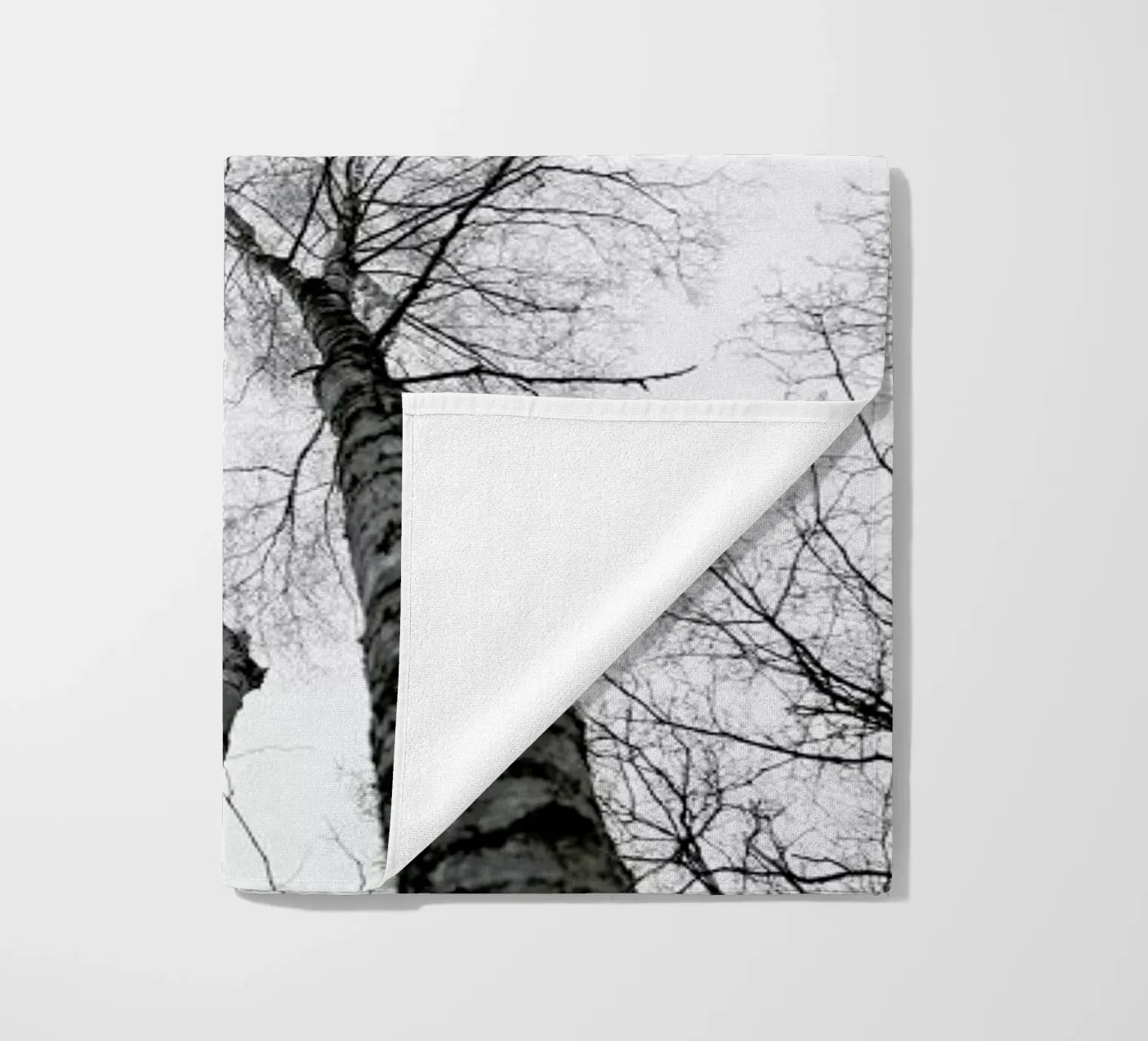 Everglades telo mare da Shot By Clint