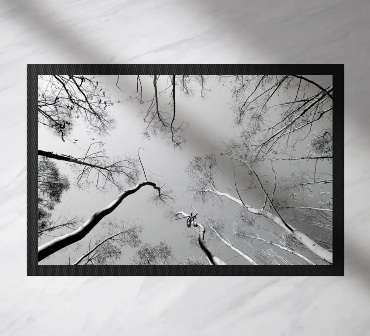 Plantations zerbino da Shot By Clint