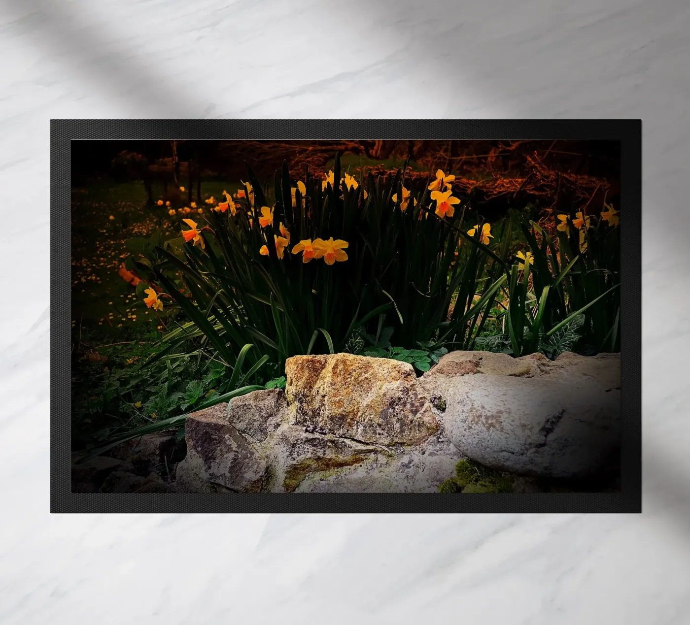 FAA136 zerbino da Thierry vobmann photography